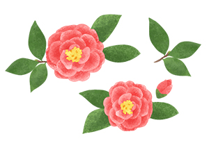 椿のラインイラスト素材