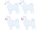 犬（サモエド）