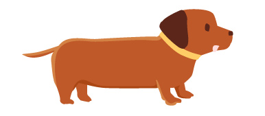 ダックスフント