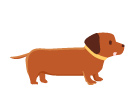 犬（ダックスフント）