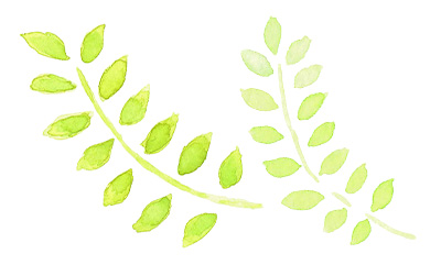 水彩の葉っぱイラスト