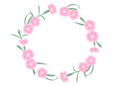 ナデシコのフレーム