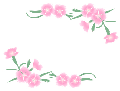 ナデシコのフレーム