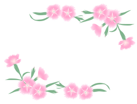 撫子のフレーム