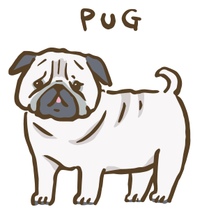 パグ